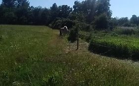 Maison individuelle 5 couchages dans Ferme Equestre